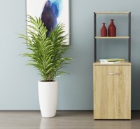 Masa de birou Ferrum-Decor Smart 4/2 143x145x60 Oak Sonoma/Black (SMART410) imaginea #4 — magazin online Desire.md