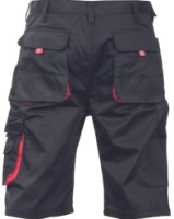 Шорты рабочие Fridrich & Fridrich Carl BE-01-009 035700026505, s.52 фото №2 — интернет-магазин Desire.md