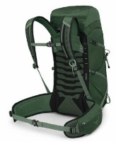 Rucsac Osprey Talon 33L Green Canopy/Pine Leaf imaginea #2 — magazin online Desire.md