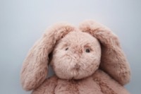 Jucărie de pluș Moulin Roty Lapin Rose (MR680023) imaginea #2 — magazin online Desire.md