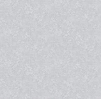 Обои Victoria Stenova 285601 Etude