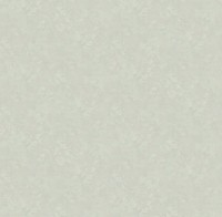 Обои Victoria Stenova 285603 Etude