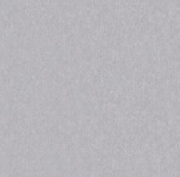 Обои Victoria Stenova 286347 Vision