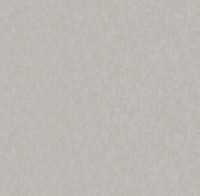 Обои Victoria Stenova 286348 Vision