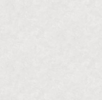 Обои Victoria Stenova 588550 Manifest