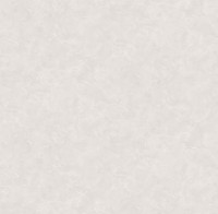 Обои Victoria Stenova 588552 Manifest