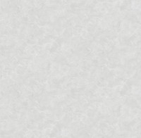 Обои Victoria Stenova 588557 Manifest