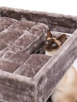 Когтеточка для кошек Petrebels Cat Tree Lodge 107 Cappuccino (431420) фото №3 — интернет-магазин Desire.md