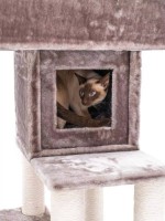 Когтеточка для кошек Petrebels Cat Tree Lodge 107 Cappuccino (431420) фото №4 — интернет-магазин Desire.md