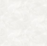 Обои Victoria Stenova 589071 Lola