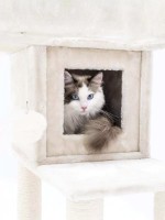 Когтеточка для кошек Petrebels Cat Tree Lodge 107 Cream (431418) фото №3 — интернет-магазин Desire.md