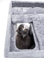 Когтеточка для кошек Petrebels Cat Tree Lodge 107 Grey (431419) фото №3 — интернет-магазин Desire.md