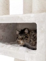 Когтеточка для кошек Petrebels Cat Tree Parklane 131 Cream (431357) фото №2 — интернет-магазин Desire.md