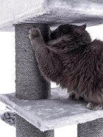 Ansamblu pentru pisici Petrebels Cat Tree Parklane 175 Grey (431361) imaginea #2 — magazin online Desire.md