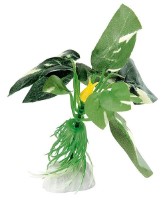 Decor pentru acvarii și terarii Ferplast Blu 9089