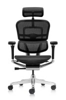 Офисное кресло Comfort T-168-B1 5D-D Ergohuman Luxury 2 Legrest Black фото №5 — интернет-магазин Desire.md