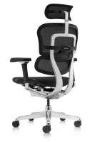 Офисное кресло Comfort T-168-B1 5D-D Ergohuman Luxury 2 Legrest Black фото №3 — интернет-магазин Desire.md