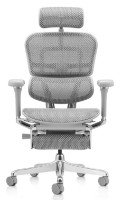 Офисное кресло Comfort T-168-B2 5D-D Ergohuman Luxury 2 Natural Legrest Grey фото №2 — интернет-магазин Desire.md