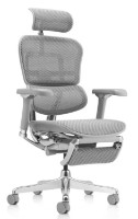 Офисное кресло Comfort T-168-B2 5D-D Ergohuman Luxury 2 Natural Legrest Grey фото №3 — интернет-магазин Desire.md
