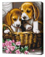 Tablou pe numere Brushme Perechea din coș (RBS29695FC) imaginea #1 — magazin online Desire.md