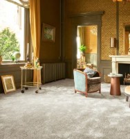 Mochetă CarpetLux Florida 34 4.00x2.00m imaginea #4 — magazin online Desire.md