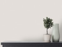 Обои Victoria Stenova 589222 Olive фото №2 — интернет-магазин Desire.md