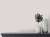 Обои Victoria Stenova 589226 Olive фото №2 — интернет-магазин Desire.md