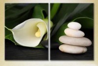 Картина ArtPoster Diptych white calla lilies (2619629)