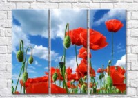 Картина ArtPoster Red poppies on a blue sky background with clouds (500345)