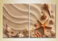 Картина ArtPoster Shells in the sand (2164432)