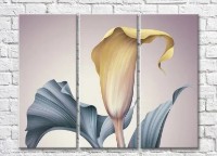 Картина ArtPoster Yellow calla lilies on a pink background (3448886)