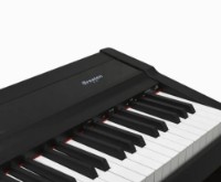 Цифровое пианино Greaten P-20 BK фото №5 — интернет-магазин Desire.md