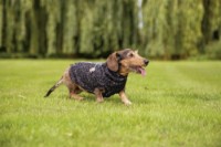 Свитер для собак Beeztees Celia Dark Grey 20cm (766560) фото №3 — интернет-магазин Desire.md