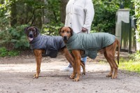 Куртка для собак Beeztees Zhanti Grey 44cm (766791) фото №4 — интернет-магазин Desire.md