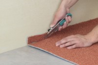 Сменные лезвия Wolfcraft 4312000 фото №3 — интернет-магазин Desire.md