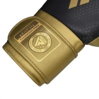 Mănuși de box RDX Mark Pro Training Tri Lira 2 12oz Golden imaginea #5 — magazin online Desire.md