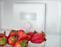 Холодильник MPM 254-FF-51/E фото №4 — интернет-магазин Desire.md