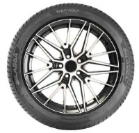 Anvelopa Lassa Revola 205/55 R17 95W imaginea #3 — magazin online Desire.md