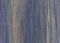 Обои Sirpi Altagamma Rainbow 22653