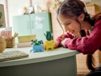 Set de construcție Lego Botanical Collection: Happy Plants 10349 imaginea #6 — magazin online Desire.md