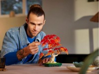 Set de construcție Lego Botanical Collection: Japanese Red Maple - Bonsai Tree (10348) imaginea #7 — magazin online Desire.md