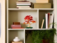 Set de construcție Lego Botanical Collection: Japanese Red Maple - Bonsai Tree (10348) imaginea #9 — magazin online Desire.md