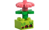 Set de construcție Lego DUPLO: Camping Trip 10452 imaginea #5 — magazin online Desire.md