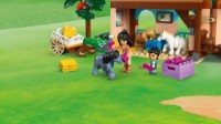 Конструктор Lego Friends: Pony Ranch & State 42654 фото №8 — интернет-магазин Desire.md