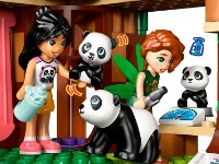 Set de construcție Lego Friends:Panda Sanctuary 42648 imaginea #2 — magazin online Desire.md