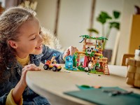 Set de construcție Lego Friends:Panda Sanctuary 42648 imaginea #5 — magazin online Desire.md