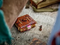 Set de construcție Lego Harry Potter: Champing Monster Book of Monsters (76449) imaginea #6 — magazin online Desire.md