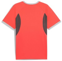 Мужская футболка Puma Individualliga Jersey Glowing Red/Puma White/Shadow Gray, s.XXL фото №2 — интернет-магазин Desire.md