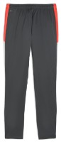 Мужские спортивные штаны Puma Individualliga Training Pants Shadow Gray/Puma White/Glowing Red, s.XXL фото №2 — интернет-магазин Desire.md