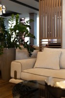 Диван Dizayno Home Lucca (079978) фото №2 — интернет-магазин Desire.md